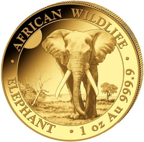 Somalië. 1000 Schilling 2025 Somalia Elephant Elefant 1 oz, Postzegels en Munten, Edelmetalen en Baren