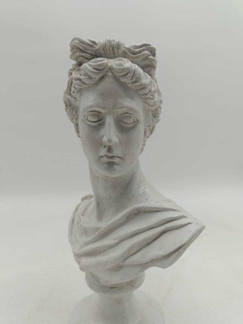 Sculpture, Busto di Apollo - 31 cm - poudre de marbre, Antiek en Kunst, Curiosa en Brocante