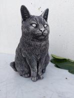 Beeld, levensecht beeld van zittende kat - 29 cm - cast