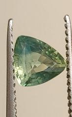 Zonder Minimumprijs Saffier - 1.21 ct - Antwerp Laboratory, Handtassen en Accessoires, Edelstenen, Nieuw