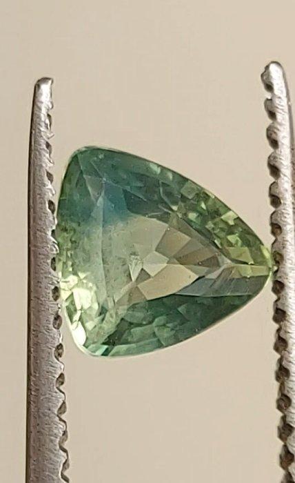 Zonder Minimumprijs Saffier - 1.21 ct - Antwerp Laboratory, Handtassen en Accessoires, Edelstenen