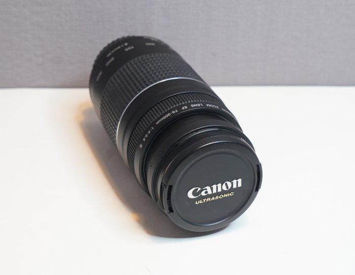 Canon 75-300mm 1:4-5.6 II. Soligor 1.7x Tele-Converter C/AF, Audio, Tv en Foto, Fotocamera's Digitaal