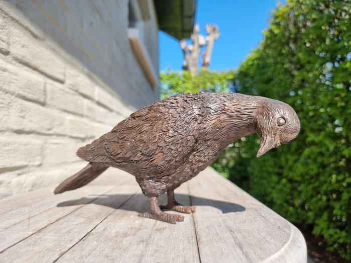 Beeldje - Levensechte duif - Brons, Antiek en Kunst, Curiosa en Brocante