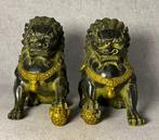 Prachtig paar foo dogs 20.5 cm / 5.1 kg - Brons - China -, Antiek en Kunst