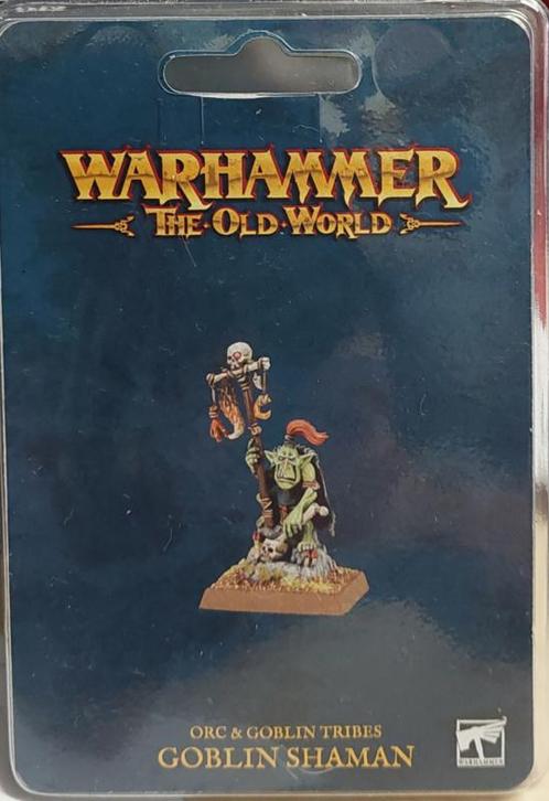 Goblin Shaman (warhammer nieuw), Hobby en Vrije tijd, Wargaming, Ophalen of Verzenden