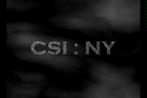 CSI New York seizoen 5 (deel 2) (dvd nieuw), Cd's en Dvd's, Ophalen of Verzenden, Nieuw in verpakking