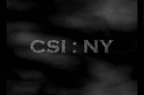 CSI New York seizoen 5 (deel 2) (dvd nieuw), Cd's en Dvd's, Dvd's | Actie, Ophalen of Verzenden