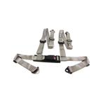 TENZO-R zilveren 4-punts autogordel - Stijlvol en veilig, Auto-onderdelen, Ophalen of Verzenden, Nieuw