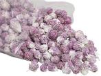 Losse Bloemhoofdjes Purple Daisy White Wash strooibloemetjes, Huis en Inrichting, Nieuw