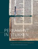 Middeleeuwse studies en bronnen 171 -   Perkament in stukken, Bart Jaski, Marco Mostert, Verzenden