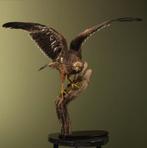 Steenarend X Steppearend Taxidermie Opgezette Dieren By Max, Ophalen of Verzenden, Nieuw, Vogel, Opgezet dier