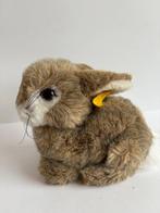 Steiff - Teddybeer Lulac Schlenkerhase 6281/25, Poppel