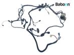 Kabelboom Kawasaki ZR 7 S 2001-2005 ( ZR-7S ZR750H), Verzenden, Gebruikt
