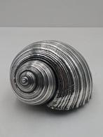 Mario Buccellati - Beeldje - Conchiglia - Zilver, Antiek en Kunst