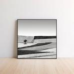 Rosario Civello - Fields #9