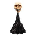 Lord of the Rings Mini Statue Skull of a Moria Orc 13 cm, Ophalen of Verzenden, Nieuw