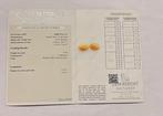 2 pcs Multicolore Opale - 10.99 ct - Gem Report Antwerp, Nieuw