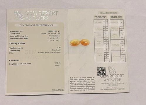 2 pcs Multicolore Opale - 10.99 ct - Gem Report Antwerp, Handtassen en Accessoires, Edelstenen