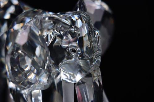 Figuur - Swarovski - Olifant (Boxed + certificate) - Kristal, Antiek en Kunst, Curiosa en Brocante