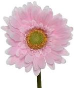 Gerbera Roze Zijdenbloem 58 cm per stuk, Nieuw