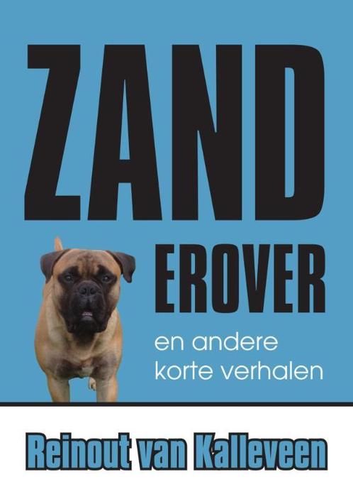 Zand erover 9789048430581 Reinout van Kalleveen, Boeken, Literatuur, Gelezen, Verzenden