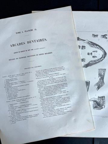 Lesmateriaal - Nicolas-Henri Jacob & Jean Baptiste Marc