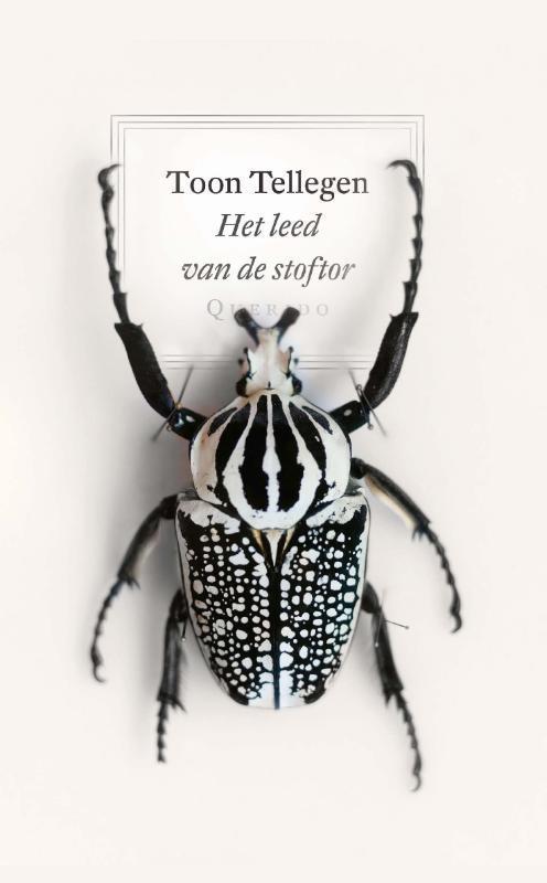 Het leed van de stoftor 9789021419640 Toon Tellegen, Boeken, Romans, Zo goed als nieuw, Verzenden