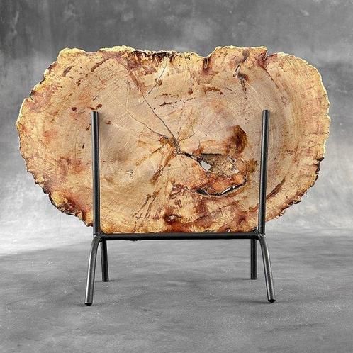 Prachtige plak petrified hout op een op maat gemaakte, Antiek en Kunst, Kunst | Designobjecten