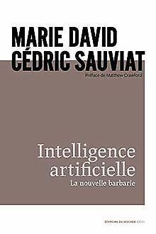 Intelligence artificielle: La nouvelle barbarie ...  Book, Boeken, Overige Boeken, Zo goed als nieuw, Verzenden
