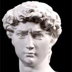 David van Michelangelo - Hoofd Standbeeld Sculptuur Decor, Verzenden, Nieuw
