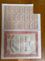 België. Action sans désignation de valeur (Zonder