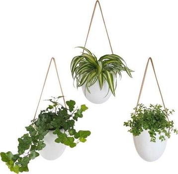Tweedekans | Gadgy Plantenhanger Keramiek – Set van 3 – Wit beschikbaar voor biedingen