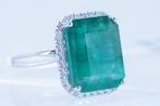 Zonder Minimumprijs - Ring Platina - 8.97ct. tw. Smaragd -, Nieuw