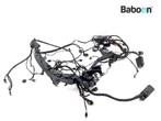 Faisceau de câblage BMW F 900 R 2018-2024 (F900R K83), Verzenden, Nieuw