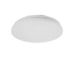 LED Plafondlamp 12W 4000K, Verzenden