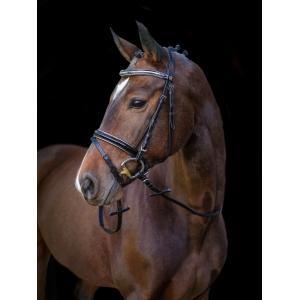 Trensenzaum kingston, schwarz wb, englisch komb. modell -, Dieren en Toebehoren, Paarden en Pony's | Overige Paardenspullen