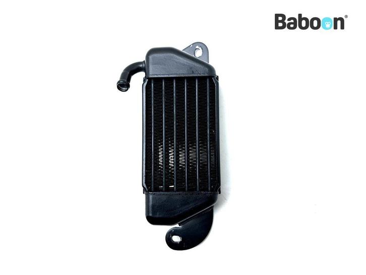 Oliekoeler BMW R 850 C (R850C) Left (1342207), Motoren, Onderdelen | BMW, Gebruikt, Verzenden