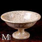 Fossiele fragmenten - Oude mariene organismen, centrumtafel,