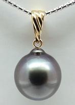 No Reserve Price - Tahitian Pearl, Midnight Blue Violet,