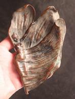 Bronzen Art Nouveau vide-poche - Schaal - Brons, Antiquités & Art