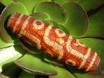 Vrai « Dragon Skin » DZI 9 Yeux 65 mm + Support et