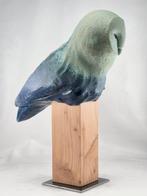 Federico Alibrio - Barn owl