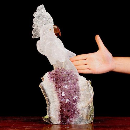 Handgemaakt - Ongerepte papegaai Prachtig met de hand, Verzamelen, Mineralen en Fossielen