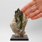 Grote elbaït, groene toermalijn met muscoviet en kwarts,, Verzamelen