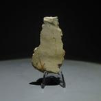 Néolithique Silex Outil. Culture de Michelsberg (trouvé à