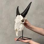 Geen minimumprijs - Handgesneden witte geitenhodesk skull, Antiek en Kunst