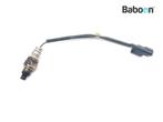 Capteur doxygène Honda NSS 125 Forza 2015-2016 (NSS125, Motoren, Verzenden, Nieuw