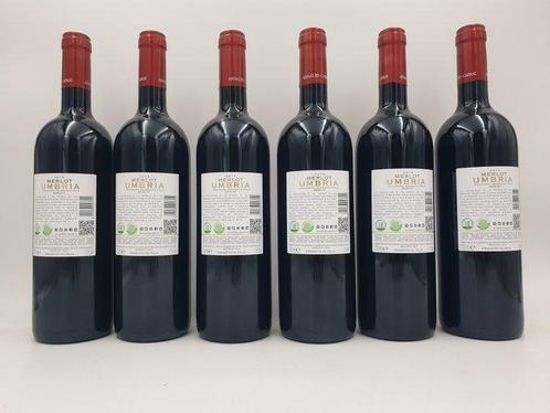 2018 Caprai, Merlot - Umbrië - 6 Flessen (0.75 liter), Verzamelen, Wijnen