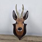 Heico - Lampe - Applique murale tête de cerf - plastique