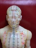 Mannequin - Educational Acupuncture Model - Plastic, Antiek en Kunst